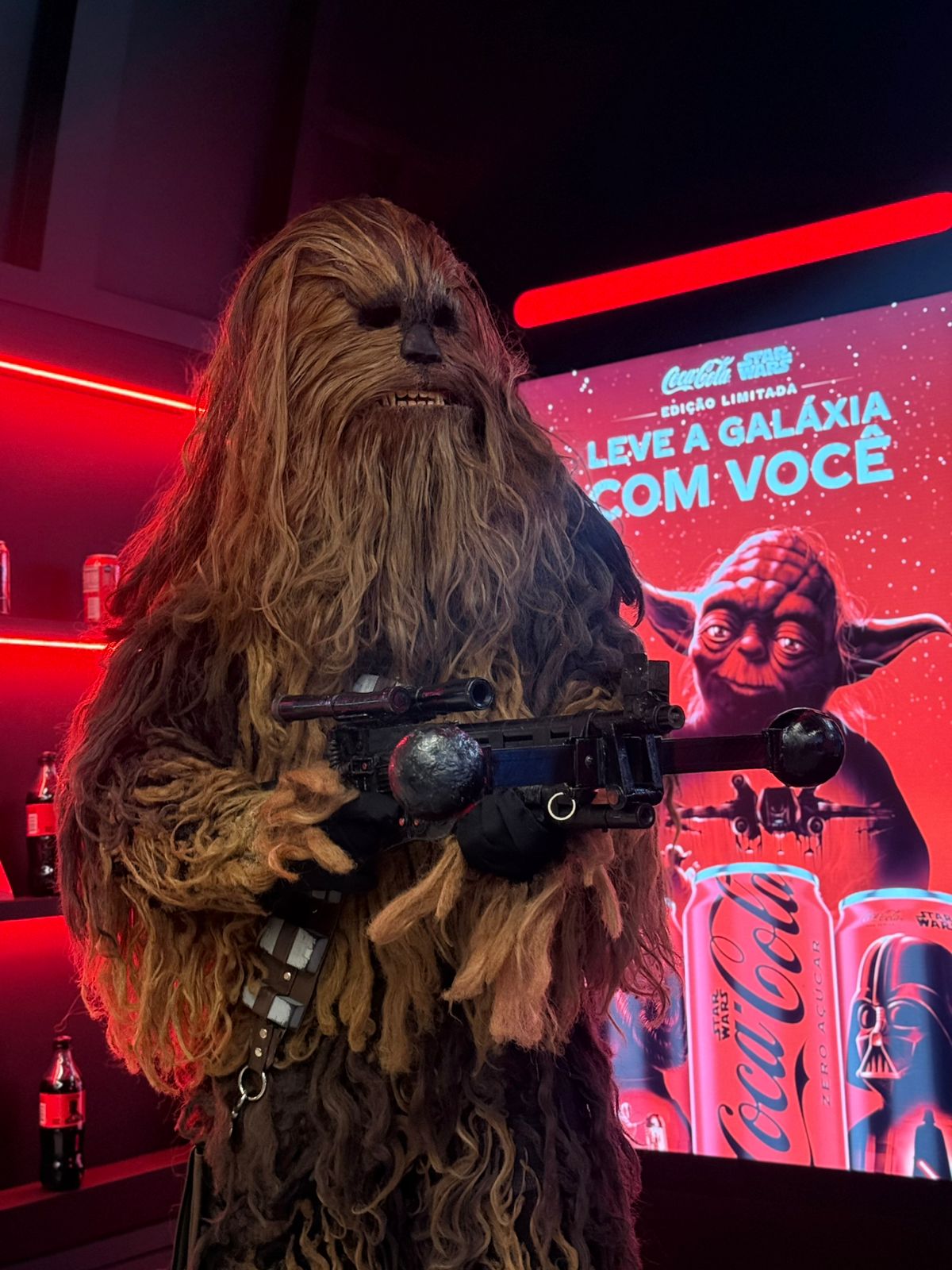 Cosplayer aprovado